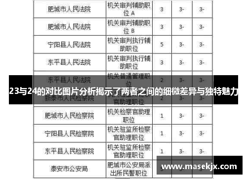 23与24的对比图片分析揭示了两者之间的细微差异与独特魅力