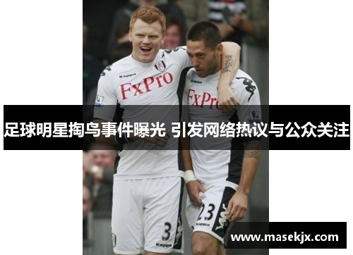 足球明星掏鸟事件曝光 引发网络热议与公众关注